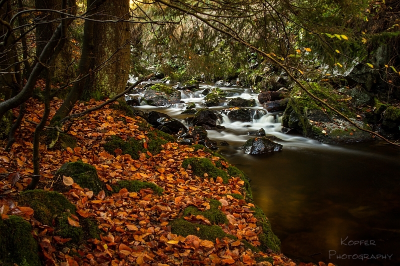 Herbst Harz Radautal