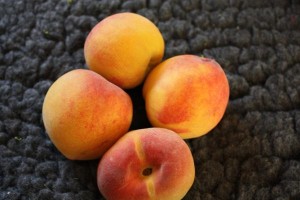 Obst für Hunde