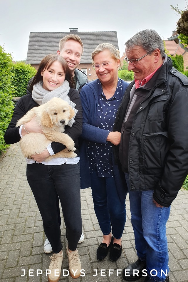 Golden Retriever Welpe Bottrop