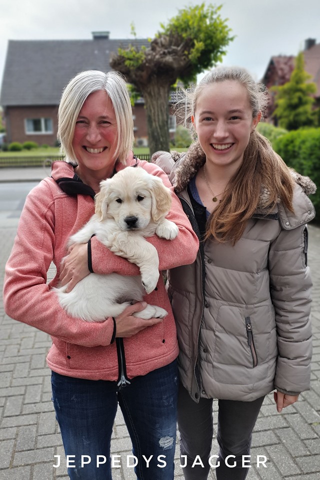 Golden Retriever Welpen Borken