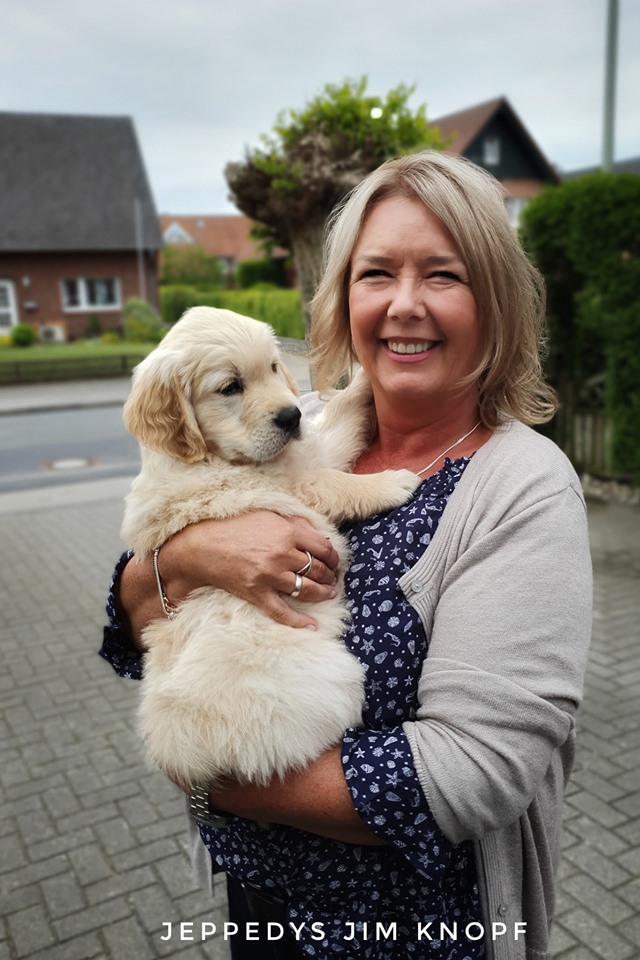 Golden Retriever Welpen Velen