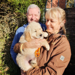 Golden Retriever Welpen Solingen