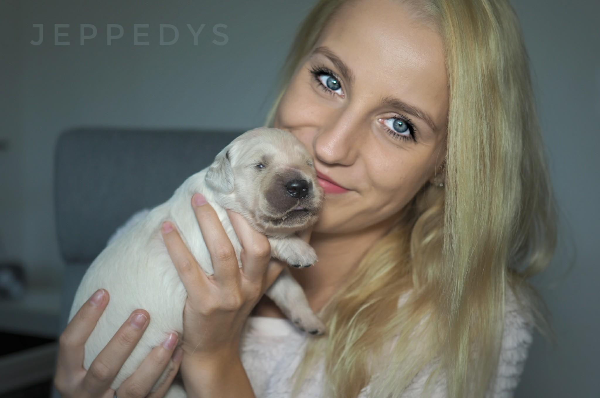 Portrait mit Golden Retriever Welpen