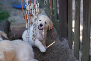 Umweltreize sind positiv