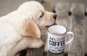 Welpe let´s drink coffee
